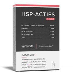 Synactifs Hspactifs Gelul 10