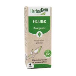 Herbalgem Macérat Mère Bio Figuier 30Ml