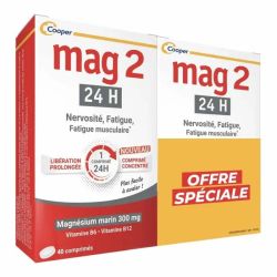 Mag 2 24H Cpr 40 Lot2 -25%