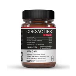 Synactifs Circactifs